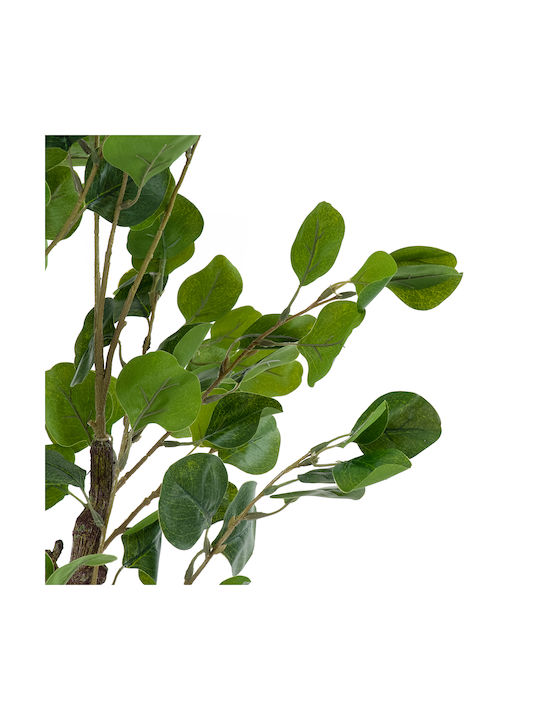Eucalyptus in Potted Plant 120cm GloboStar