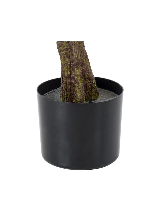 Eucalyptus in Potted Plant 120cm GloboStar