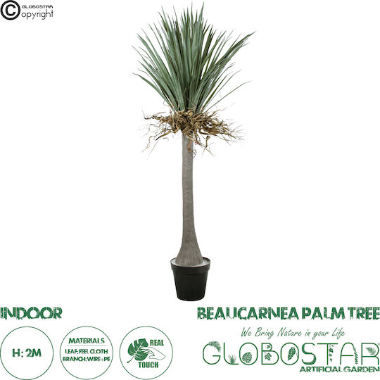 Φοίνικας Εξωτερικού Χώρου 200cm σε Γυάλα GloboStar