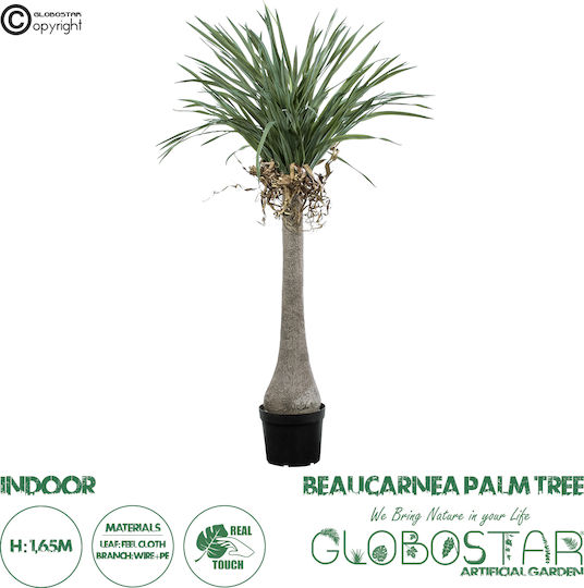 Palm Tree in Potted Plant 165cm GloboStar