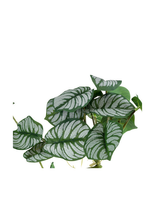 Decorative Artificial Plant Alocasia Green 50cm in Box 50pcs GloboStar