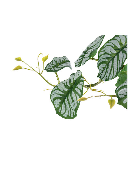 Decorative Artificial Plant Alocasia Green 50cm in Box 50pcs GloboStar