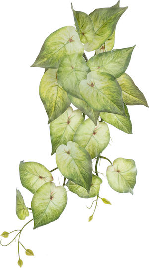 Dekorative künstliche Pflanze Begonie Grün 50cm in Box GloboStar