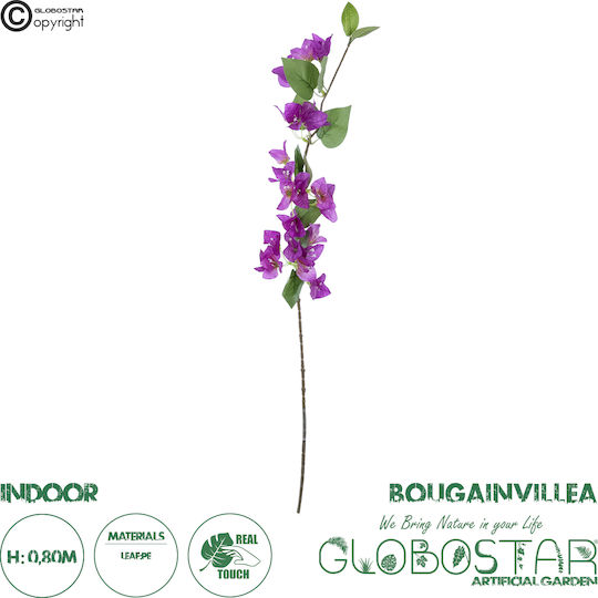 Bougainvillea Mov 80cm în Cutie GloboStar