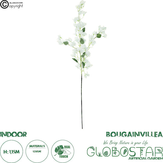 Βουκαμβίλια Λευκό 115cm σε Κουτί GloboStar