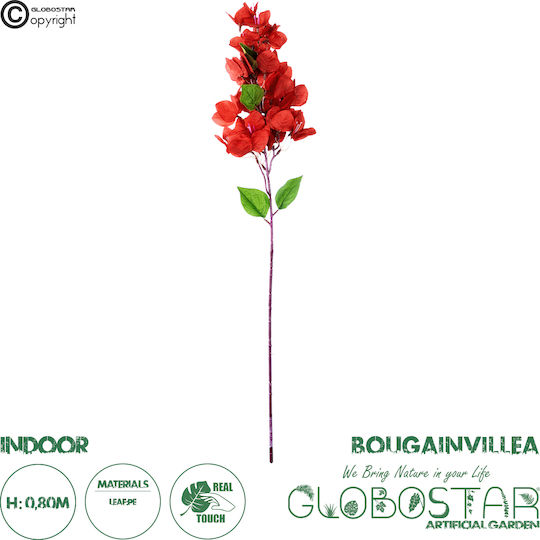 Βουκαμβίλια Κόκκινο 80cm σε Κουτί GloboStar