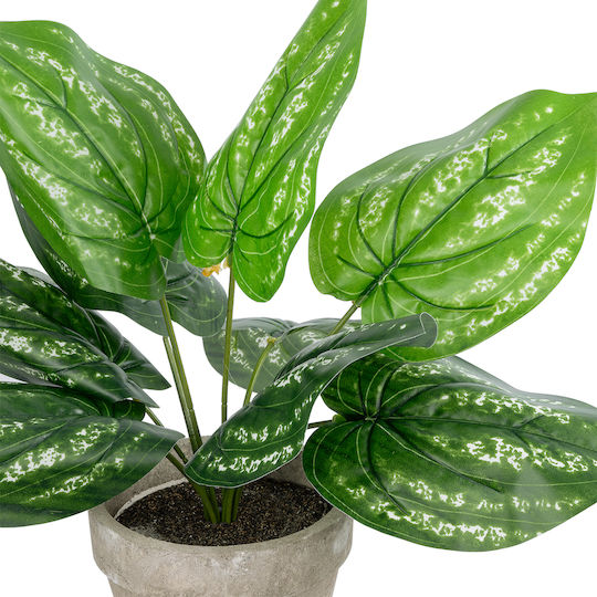 Globostar Artificial Garden Silver Pothos Potted Plant 20896 Διακοσμητικό Φυτό Πόθος Φ40 X Υ33cm