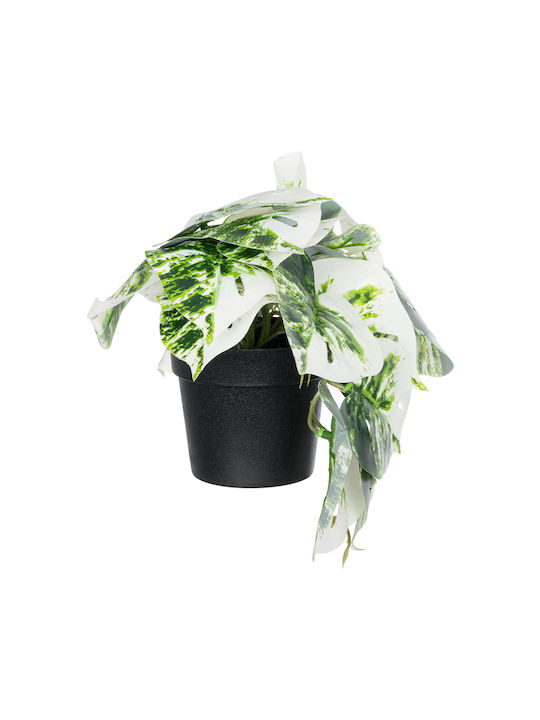 Globostar Artificial Garden Albino Monstera Plant 20946 Decorative Monstera Plant Φ23 X H16cm