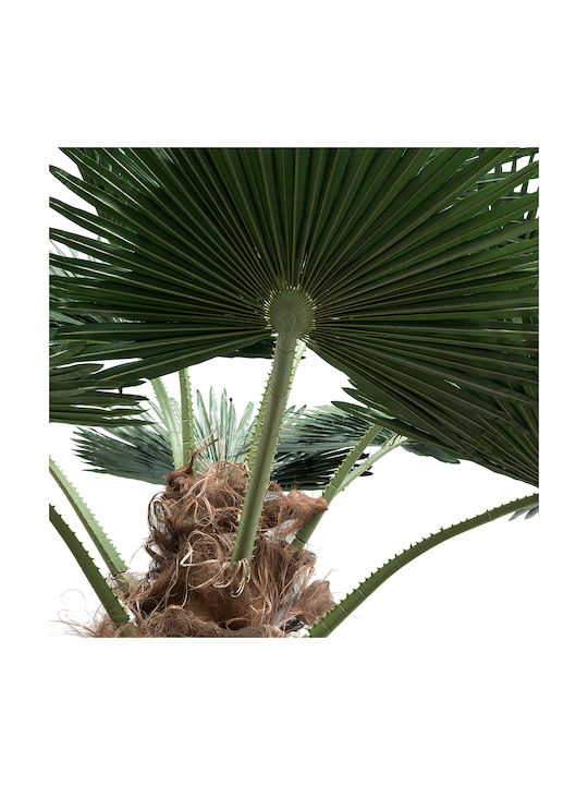 Globostar Artificial Garden Plant Palm Tree 21057 Διακοσμητικό Δέντρο Φοίνικα Φ240 X Υ600cm