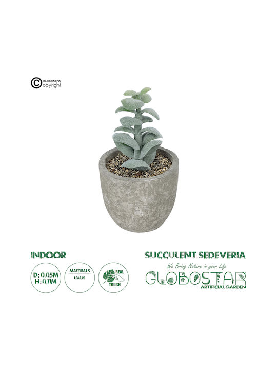 Globostar Artificial Garden Succulent Sedeveria Potted Plant 21027 Διακοσμητικό Φυτό Σεδεβέρια Φ5 X Υ11cm
