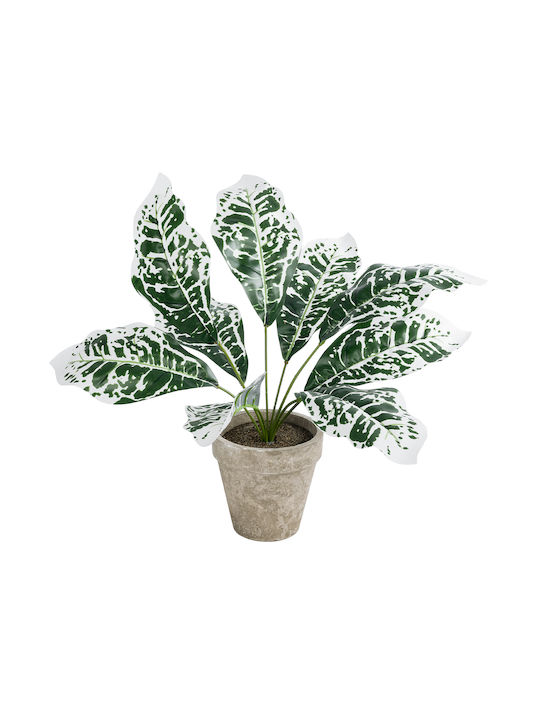 Globostar Artificial Garden White Aglaonema Potted Plant 20903 Decorative Plant White Aglaonema Φ40 X H33cm