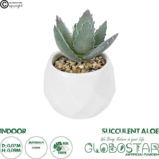 Globostar Artificial Garden Succulent Aloe Potted Plant 20999 Decorative Plant Aloe F7 X H9cm