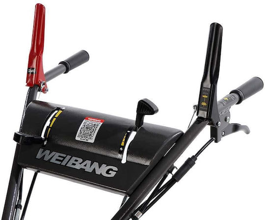 Weibang Καταστροφέας Βενζίνης 6.5hp
