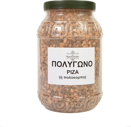 Πολύγωνο Ρίζα Ή Πολύκομπο 100 Γρ