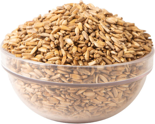 Milk Thistle Seeds or Silybum Marianum 100g