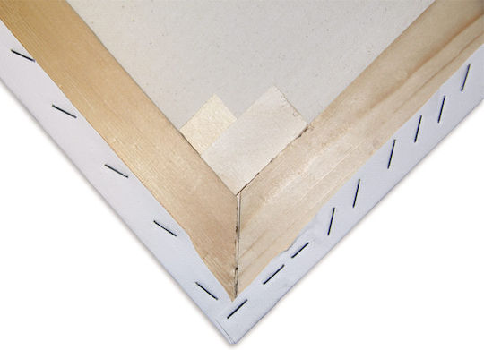Stretched Painting Canvas with Wedges Thick 30x80 cm