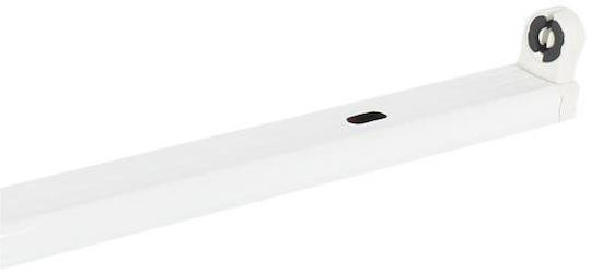 Eurolamp Lumină Batten Cu un singur capăt cu LED Integrat 120buc