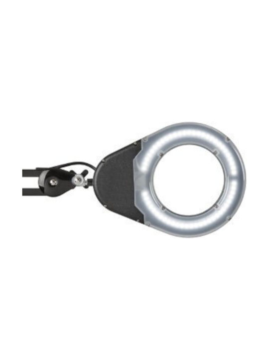 Maul LED Schreibtischlampe in Schwarz Farbe
