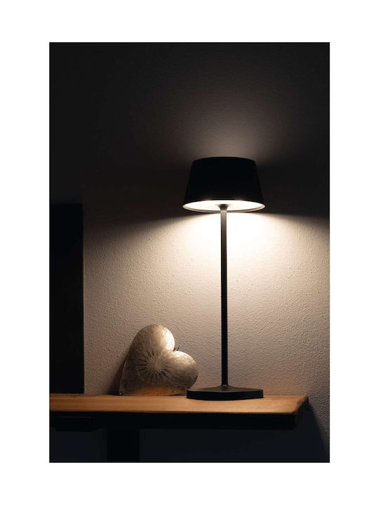 Maul Dekorative Lampe mit Fassung für E27 Lampe Gray