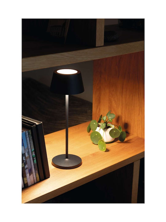 Maul Dekorative Lampe mit Fassung für E27 Lampe Gray