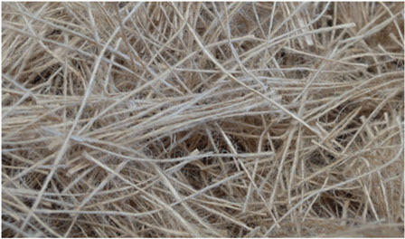 Sisal Fibre Jute Canaries Yarn Absolutely Natural Carefully Selected 100g Sisal Fibre 8033116090117