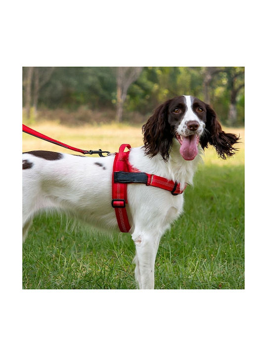 Dog Harness Reflective Silk Size Xs Red Oem
