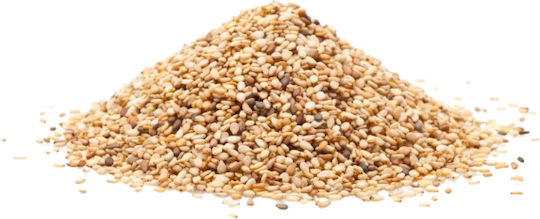 Nostos Pure Βιολογικό Σουσάμι Λευκό 1000gr