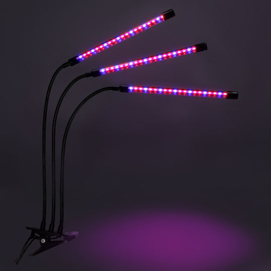 Jumi Wachstumslicht mit LED und Leistung 24W