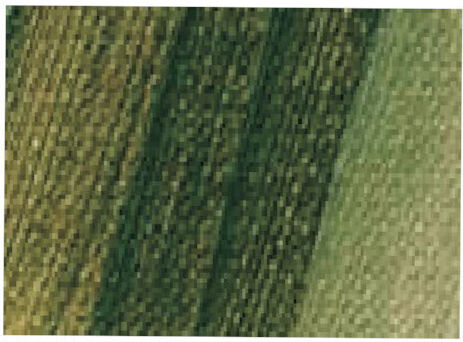 Σκόνη Αγιογραφίας El Greco Umber Green 50gr 40005083