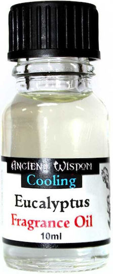 Ancient Wisdom Aromatic Oil Eucalyptus 10ml