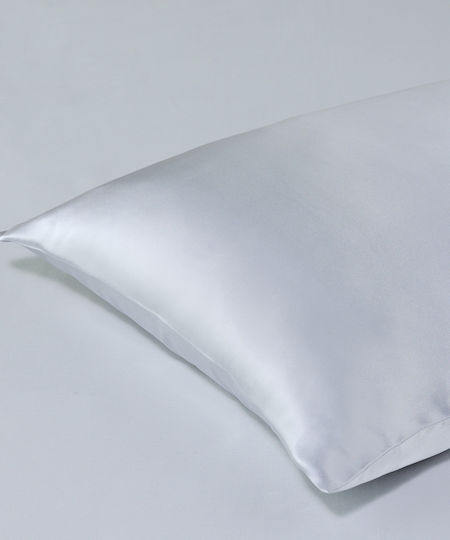 Kentia Silk Kentia Silk