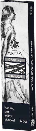 Astra Σετ Ζωγραφικής 6τμχ