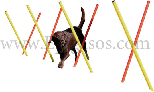 Εκπαίδευση Γυμναστική Σκύλου Slalom Agility Ύψος 100εκ
