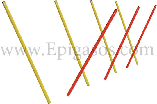 Εκπαίδευση Γυμναστική Σκύλου Slalom Agility Ύψος 100εκ