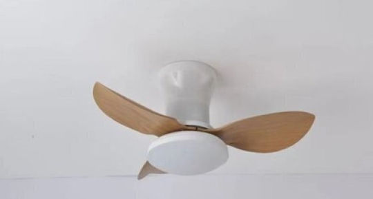 Home Lighting Ceiling Fan 65cm with White Light Fixture 77-50625