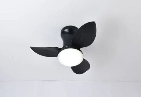 Home Lighting Adam Таванен Вентилатор 65см с Магазин за онлайн търговия с Мегапикселови Обективи Черен