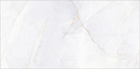 Jasto Light Placă Perete Bucătărie / Baie din Granit Lucios 120x60cm Gri