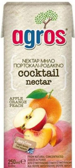 Agros Băutură din Fructe Suc Portocală / Măr / Piersică 250ml 1buc