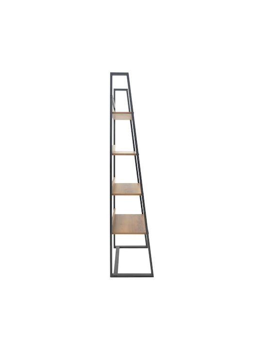 Bibliotecă Ryder Nuc-Maro 75x36x185 cm