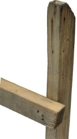 Synchronia Διακοσμητική Σκάλα 118cm