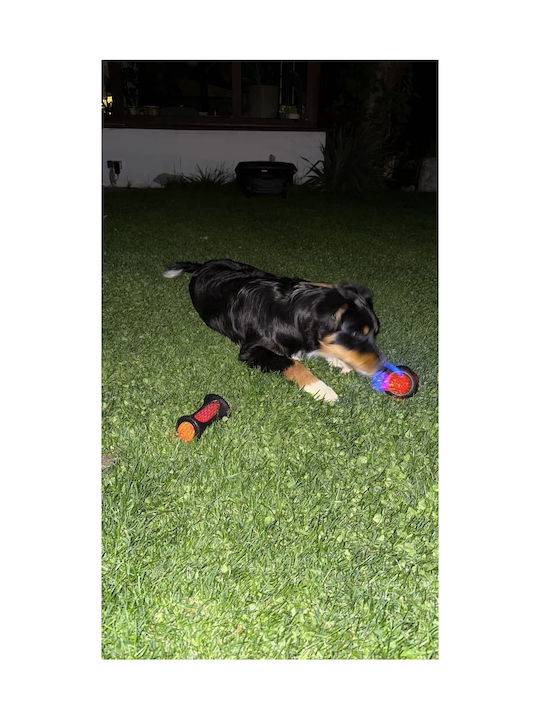 Glowing Spiky Ball Dog Teether Interactive Fetch Bouncing Toy