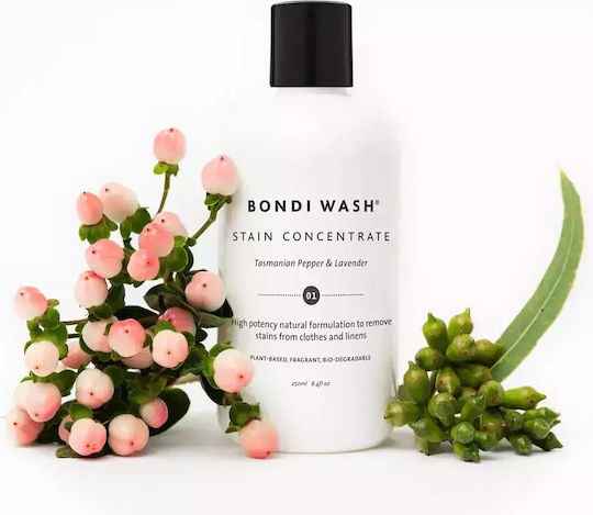 Bondi Wash Lichid Ecologic Curățător Pete pentru Țesături 250ml