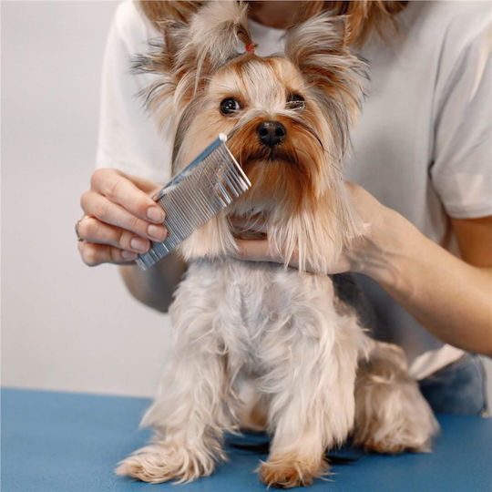 Pet Care Set 4 Grooming Scissors Accessories
