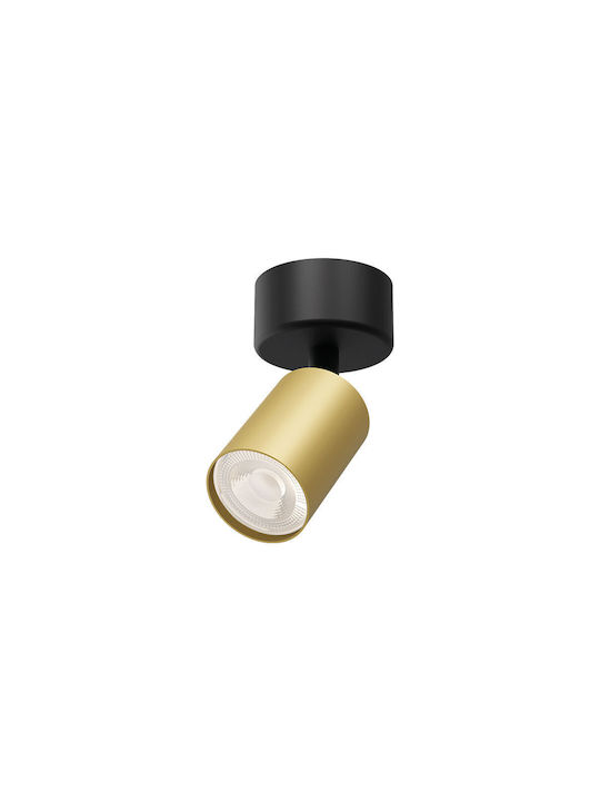 Braytron Spot in Gold Color