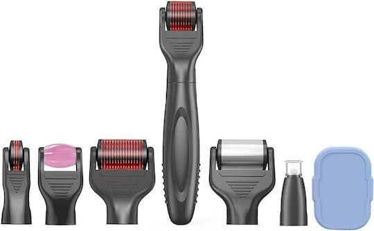 Gesicht-Roller Set aus Jade 6 Stück