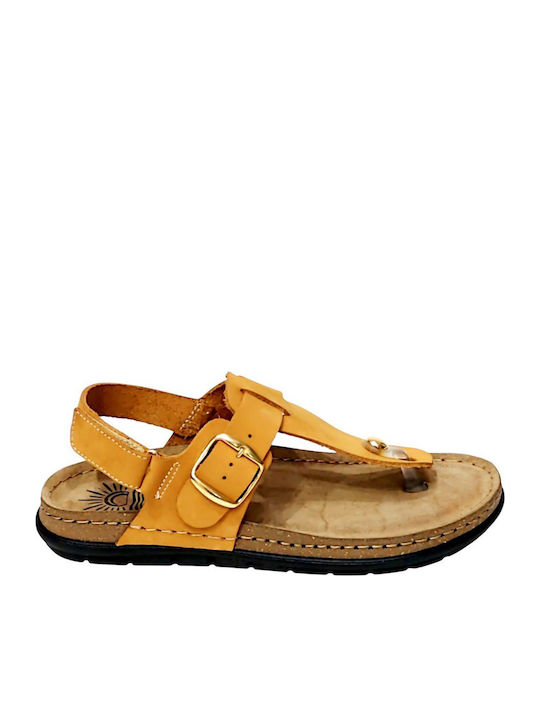 Women's Flat Sandals in Brown Color