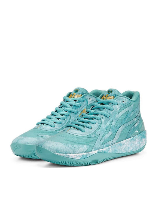 PUMA