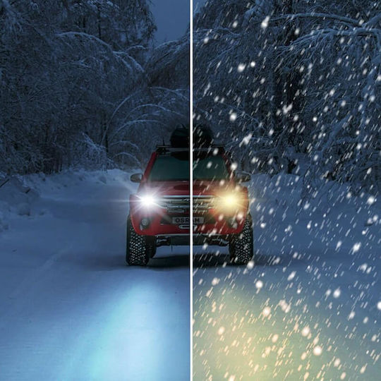 Osram Lamps Car & Motorcycle Ledriving HL Allseason H7 Canbus LED 6000K Cold White 12V 45W 2pcs