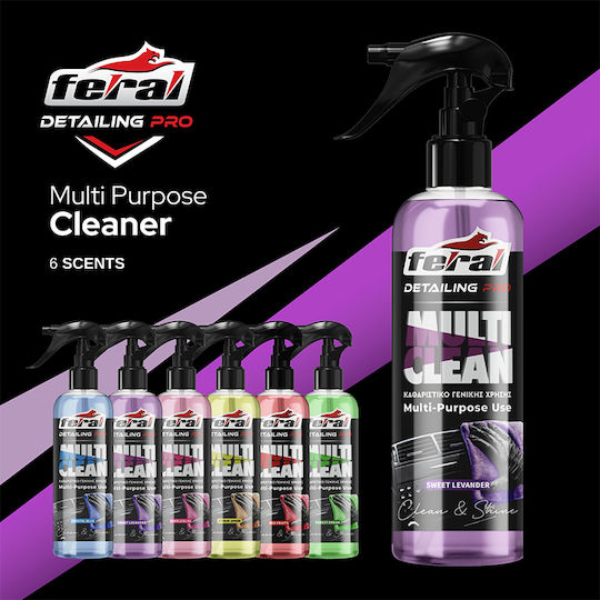 Feral Detailing Pro Σπρέι Καθαρισμού για Ταμπλό Αυτοκινήτου 750ml