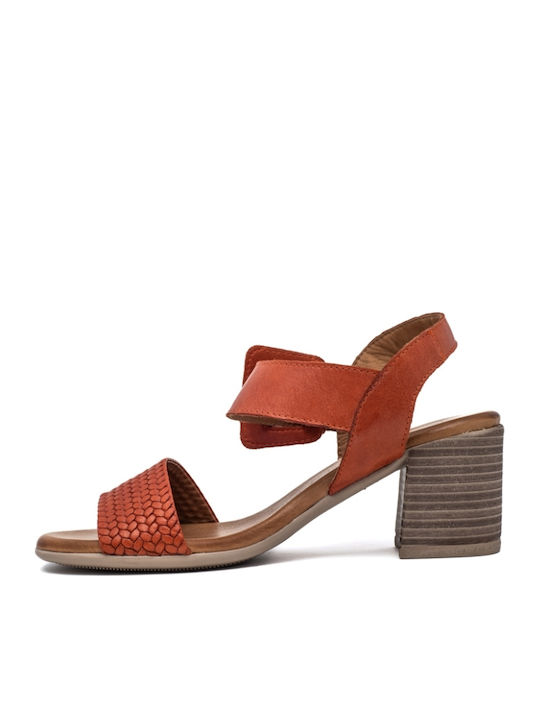Leather Sandals Anatomic Brown